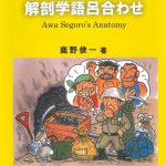 231阿波清五郎_黄色